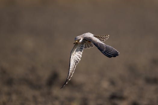 金融监管总局出台评级办法；理财公司发展重心转向质量提升。