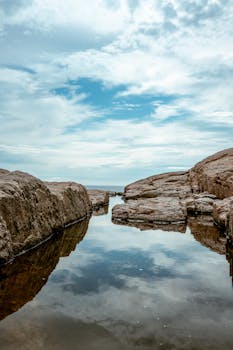 蛋黄金黄的秘密曝光：黄天鹅风波引发行业深思，谁能划清天然界限。