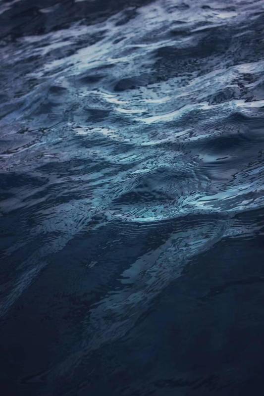 监管常态化下的合规路径:虚拟资产参与者的风险规避指南。 IT技术