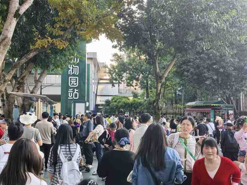  当2.96亿人次同时出发：2026清明出行拥堵技术复盘与科学应对指南 文化旅游