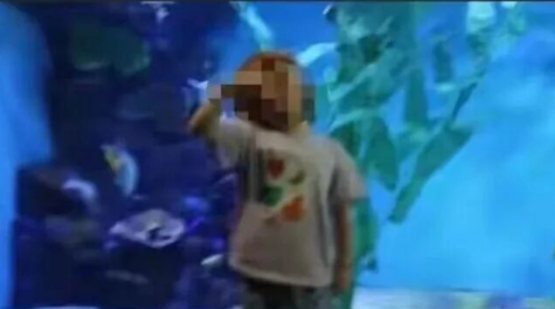  从保险欺诈到弑女：深度剖析极端家庭暴力背后的心理机制与社会警示 新闻