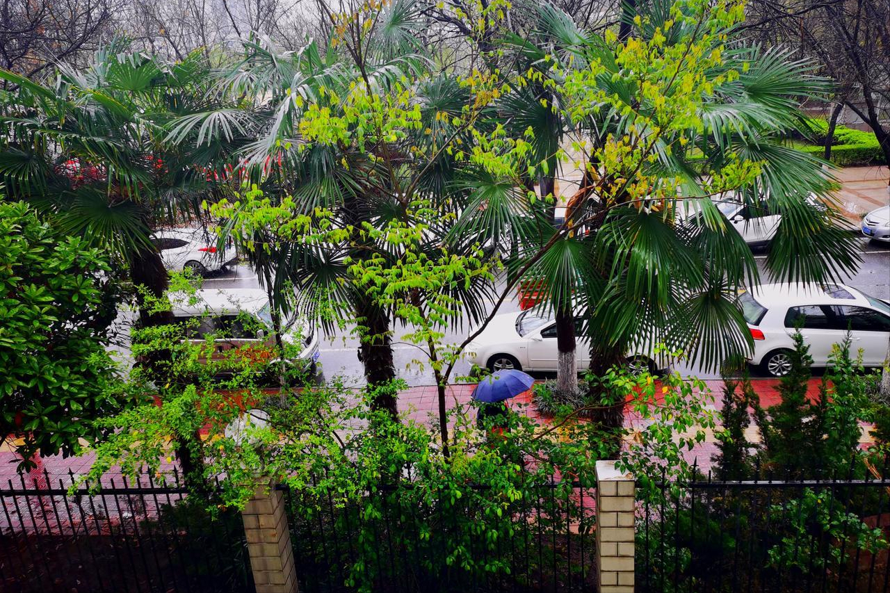  谷雨天文算法解密：太阳黄经15度法则与降雨预兆的精确关联 文化旅游