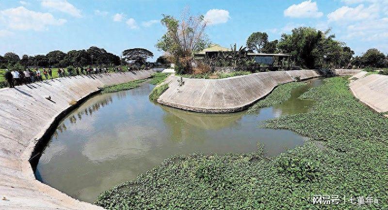 当反腐的聚光灯照进国会大厦：一位菲律宾官员的艰难抉择 新闻