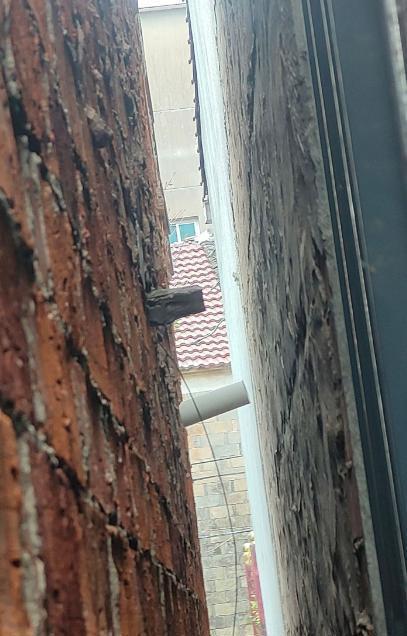  长矛杀人案死刑判决的法律逻辑：从自首情节不被采纳看故意杀人罪的量刑边界 新闻
