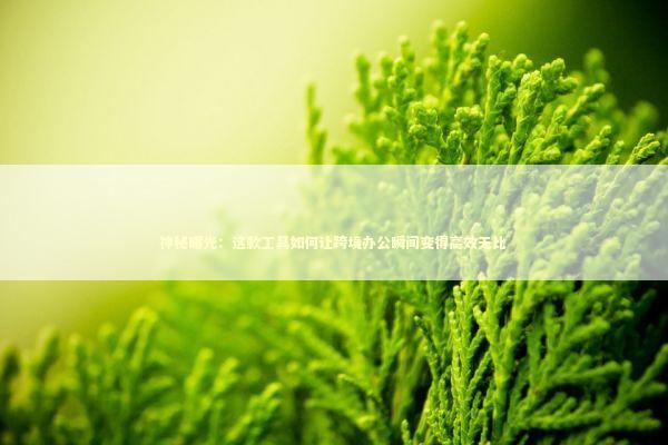 神秘曝光：这款工具如何让跨境办公瞬间变得高效无比