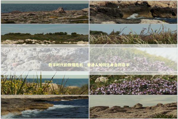 数字时代的数据危机：普通人如何化身自救高手 IT技术