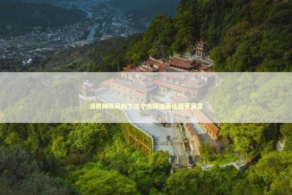 消费降级风向下这个选择反而让我更满意