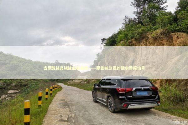 当尿酸结晶堵住血管通路——那些被忽视的健康警报信号 健康养生