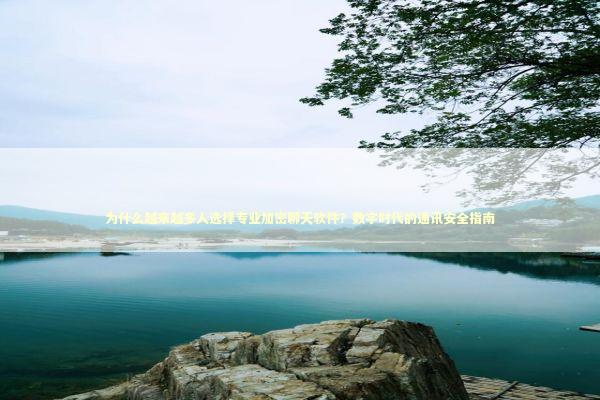 为什么越来越多人选择专业加密聊天软件？数字时代的通讯安全指南 IT技术