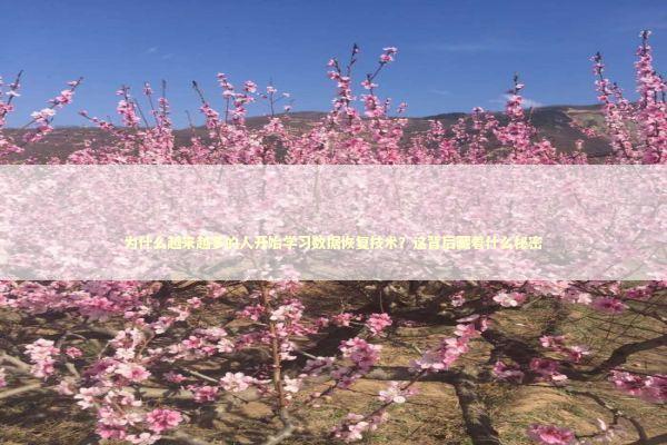 为什么越来越多的人开始学习数据恢复技术？这背后藏着什么秘密 IT技术