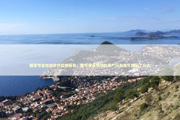解密专业加密软件实测报告：数字安全领域的用户行为变化揭示了什么 IT技术