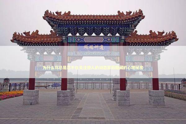 为什么你总是忍不住关注他人的动态背后隐藏的心理秘密 情感心理