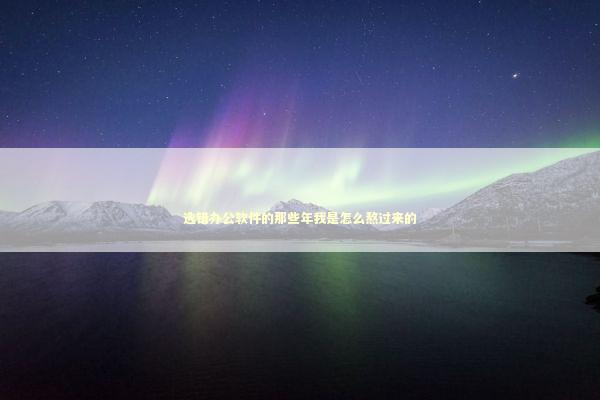 选错办公软件的那些年我是怎么熬过来的 IT技术