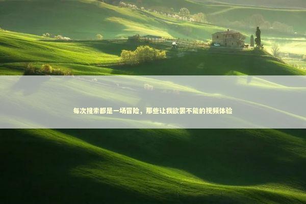 每次搜索都是一场冒险，那些让我欲罢不能的视频体验